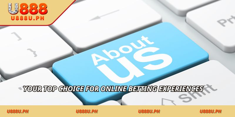 Your top choice for online betting experiences