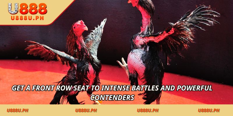 Get a front row seat to intense battles and powerful contenders