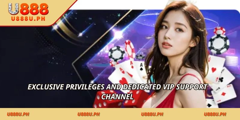 Exclusive privileges and dedicated VIP support channel