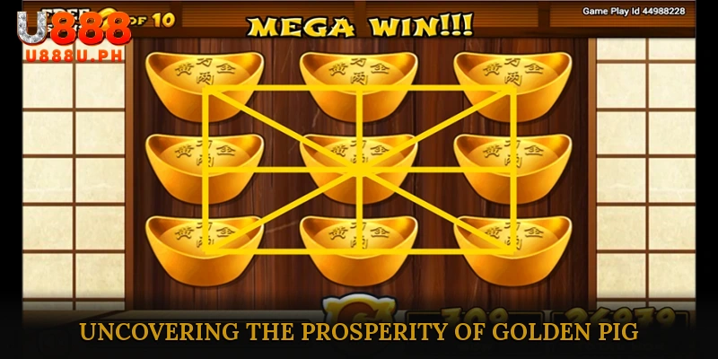 Uncovering the Prosperity of Golden Pig