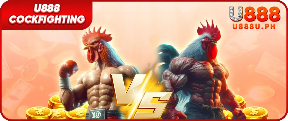 U888 cockfighting banner hp